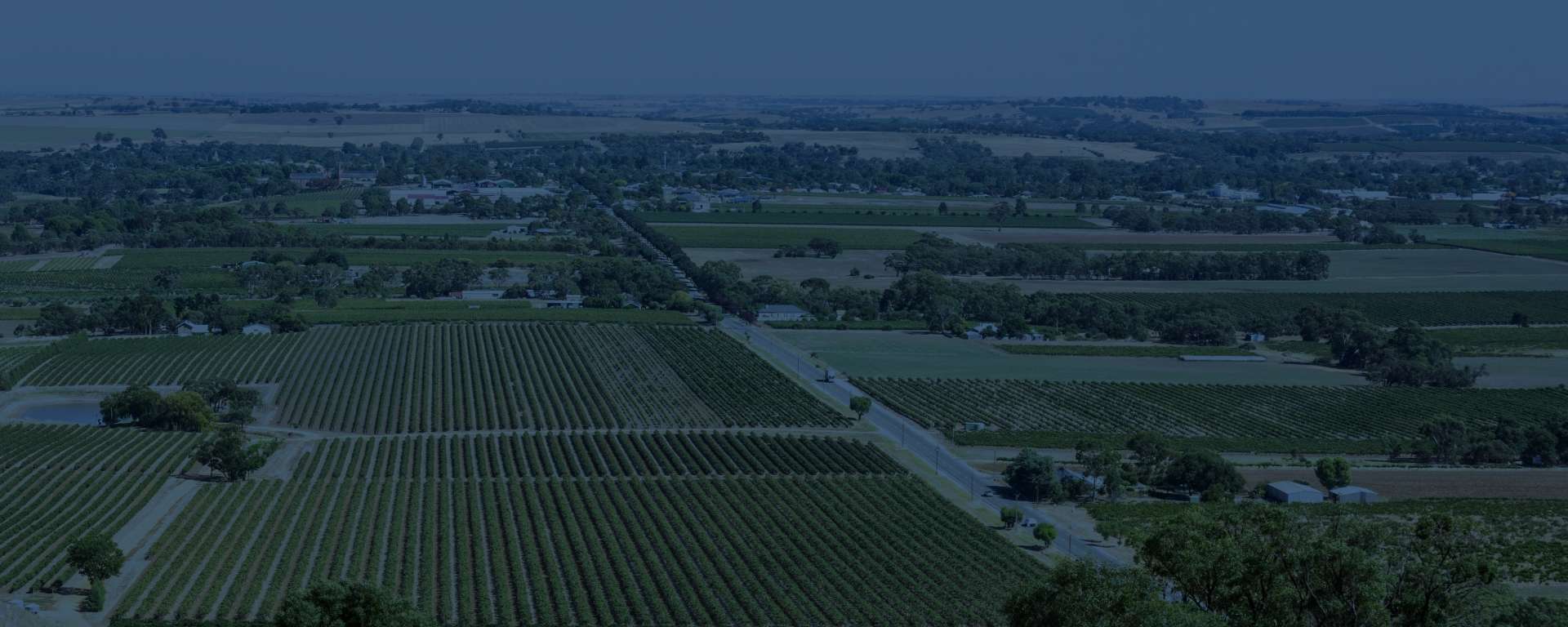 Investing in our regional healthcare.