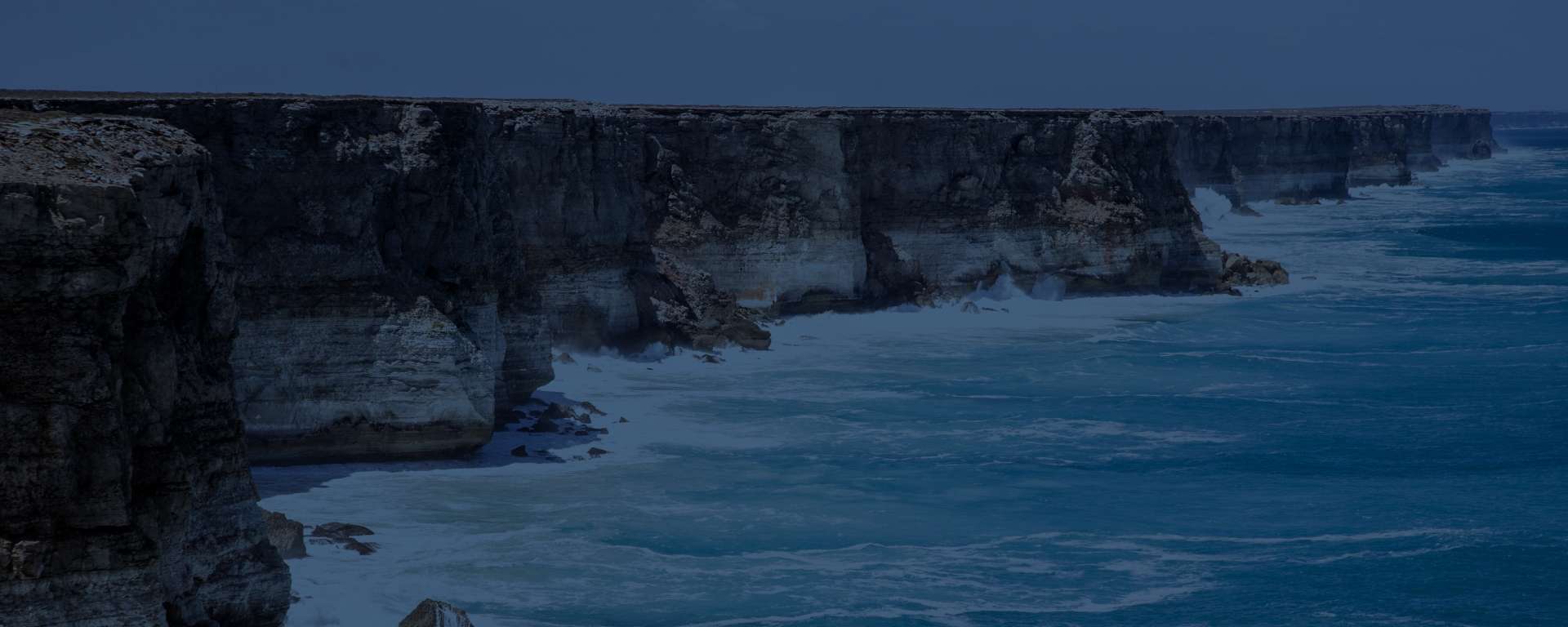 Restoring South Australia’s oceans, for this generation and those to come.