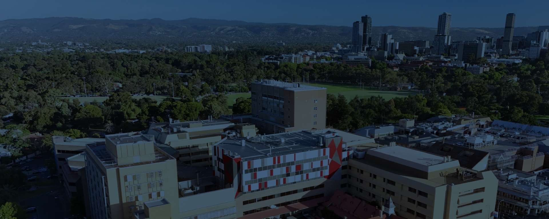 Guaranteeing the current Women's and Children's precinct is preserved as a health precinct.