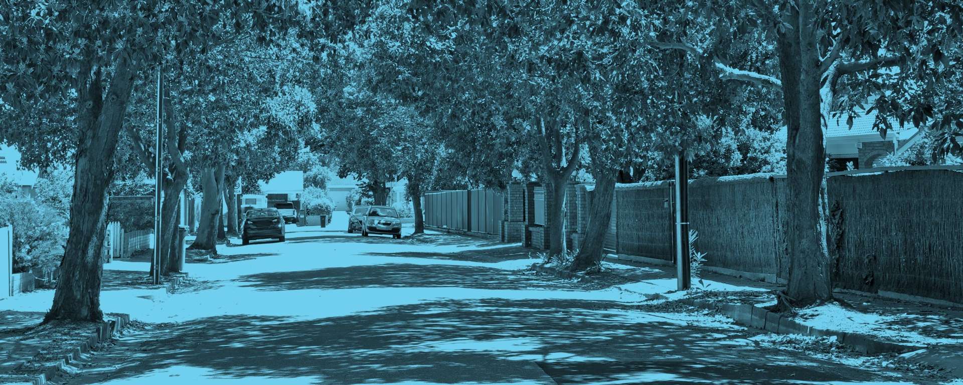 Protecting the character of our suburbs.