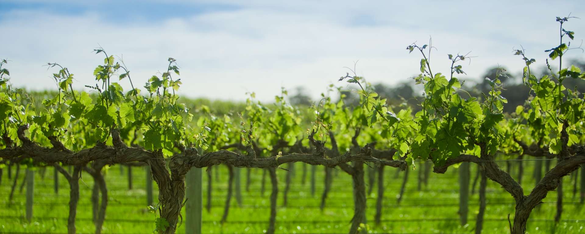 Establishing a Rural Financing Fund