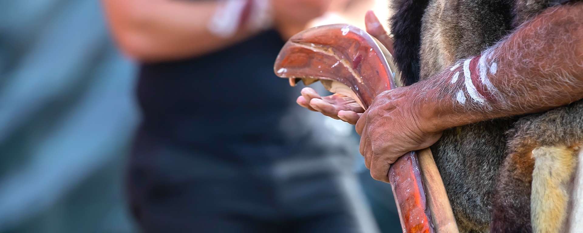 Repealing the Voice to Parliament