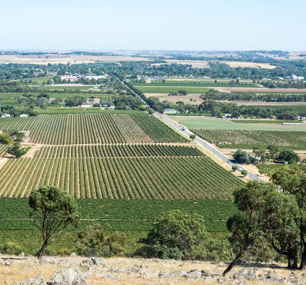 Building the Barossa Hospital