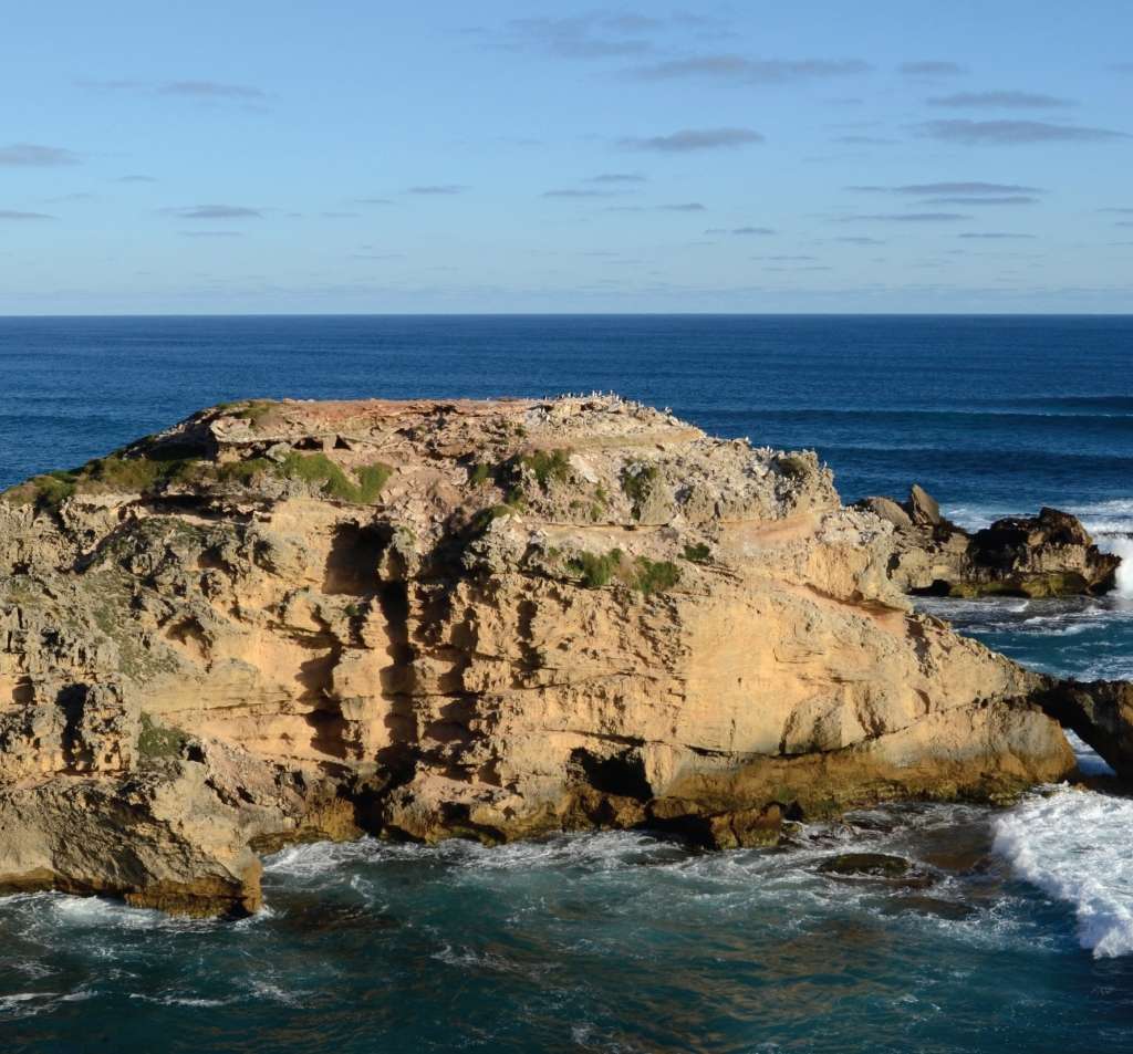 Safeguarding Primary Production on the Limestone Coast