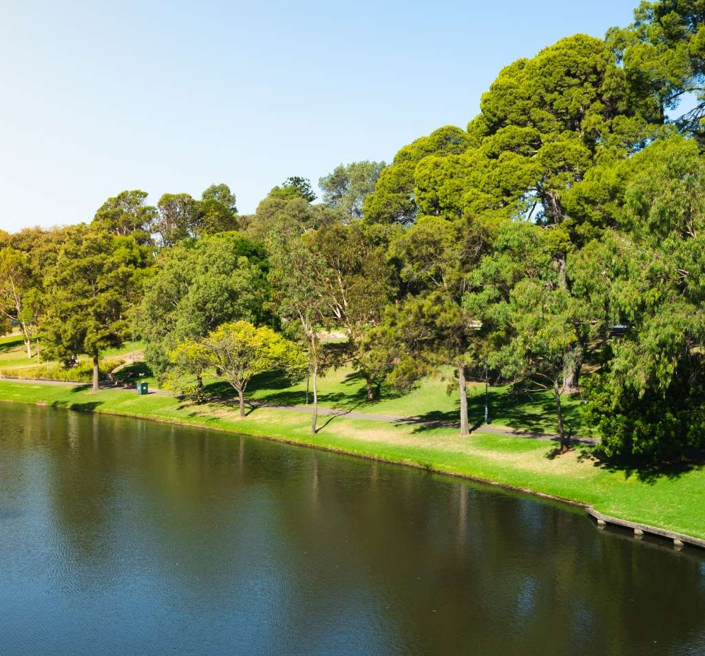 Linear Park Connection