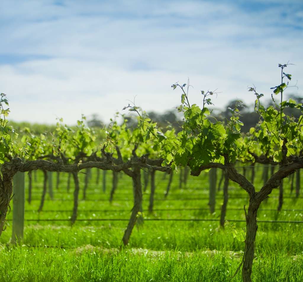 Establishing a Rural Financing Fund